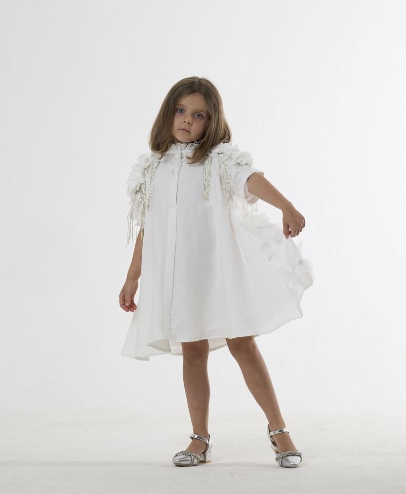 The butterfly dress