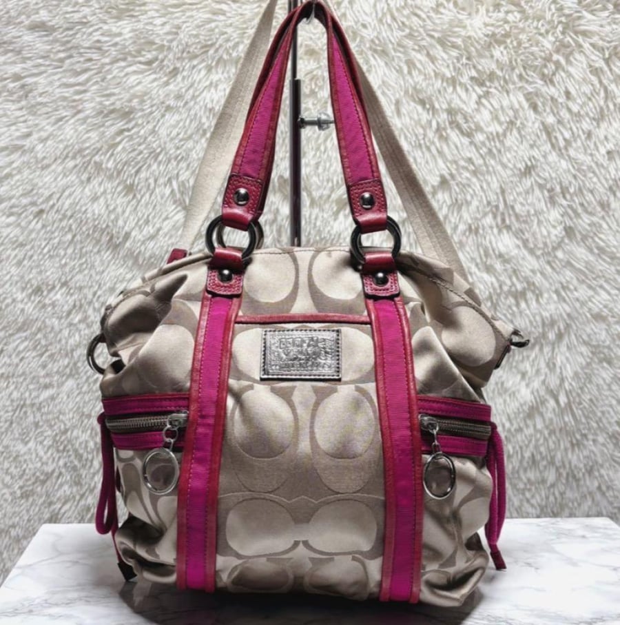 coach poppy signature 2way y2k bag