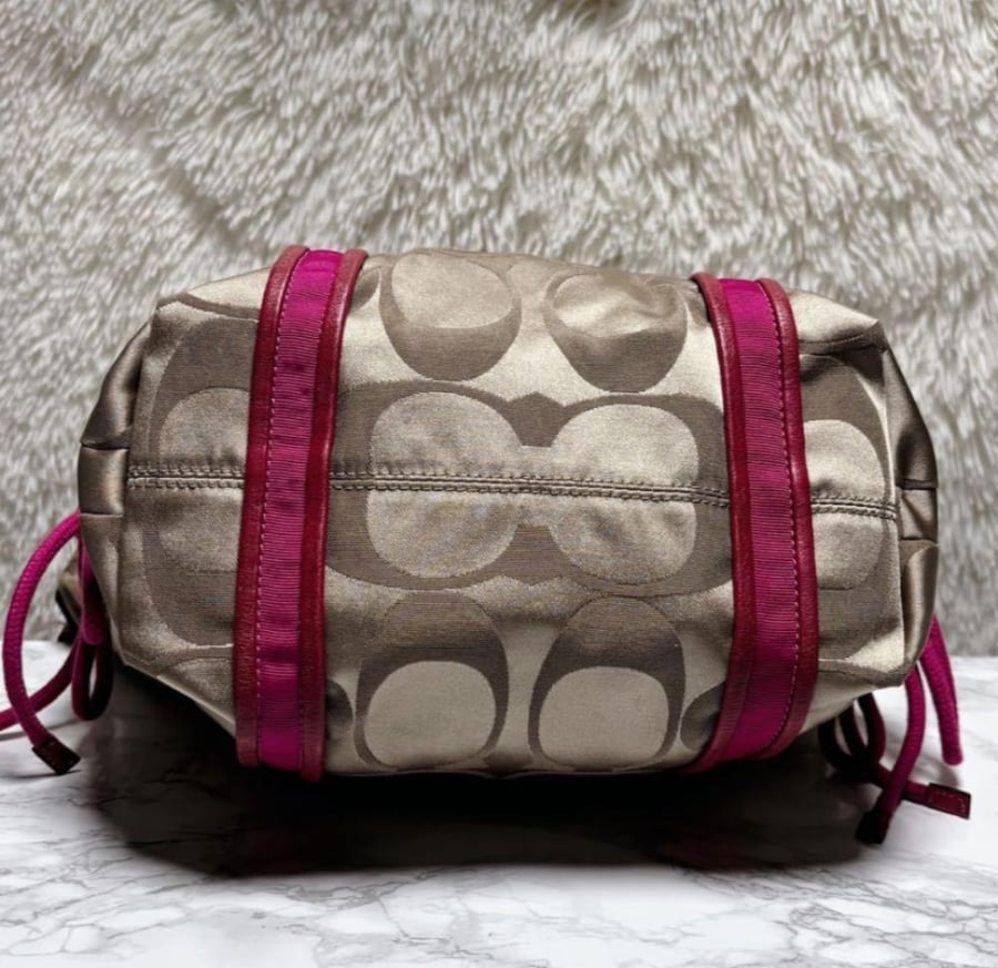 coach poppy signature 2way y2k bag