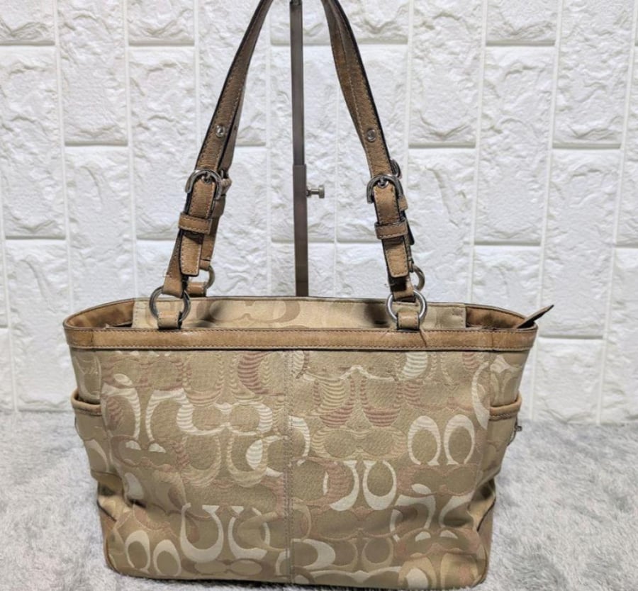 Couch bag tote