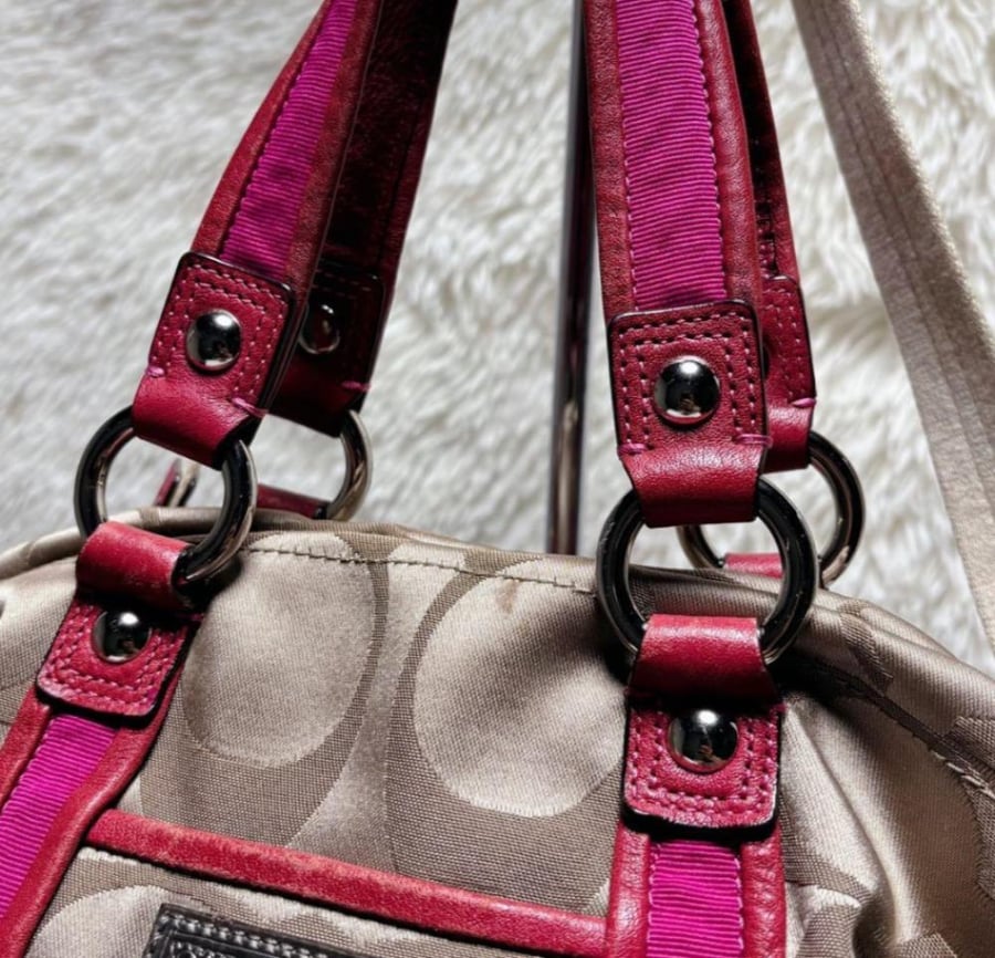 coach poppy signature 2way y2k bag