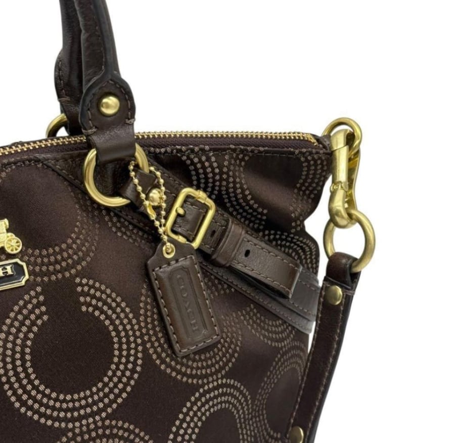 Coach brown vintage bag 2010