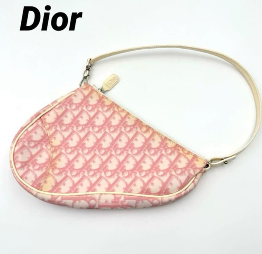 Christian Dior Trotter Pink Saddle Bag