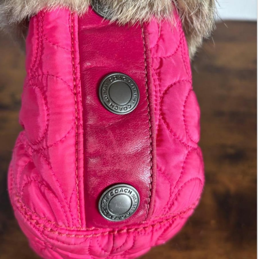 Coach one-shoulder bag Y2K fur