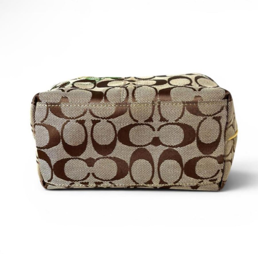 Coach mini bag