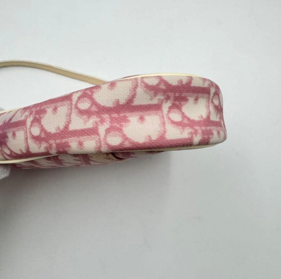 Christian Dior Trotter Pink Saddle Bag