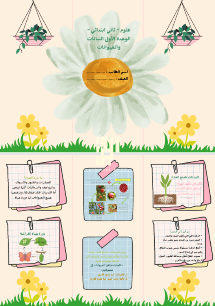 علوم - ثاني ابتدائي - الوحدة الأولى النباتات والحيوانات
