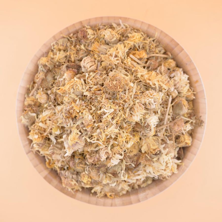 زهرة اقحوان