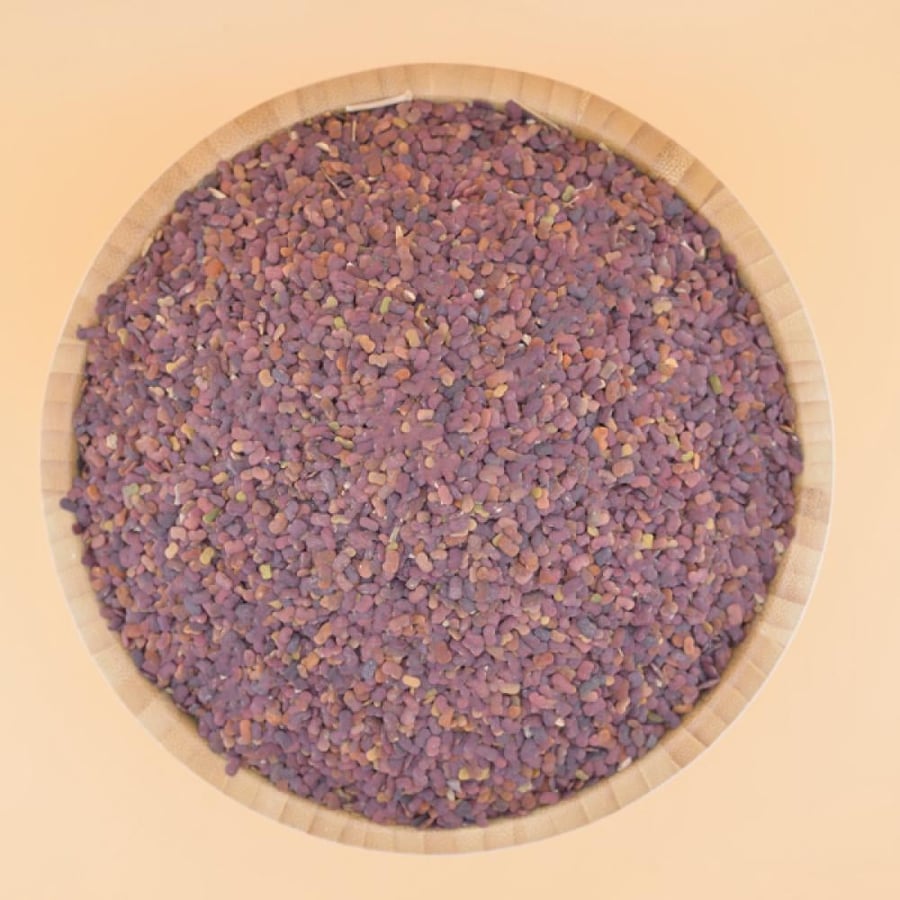 حلبة الخيل