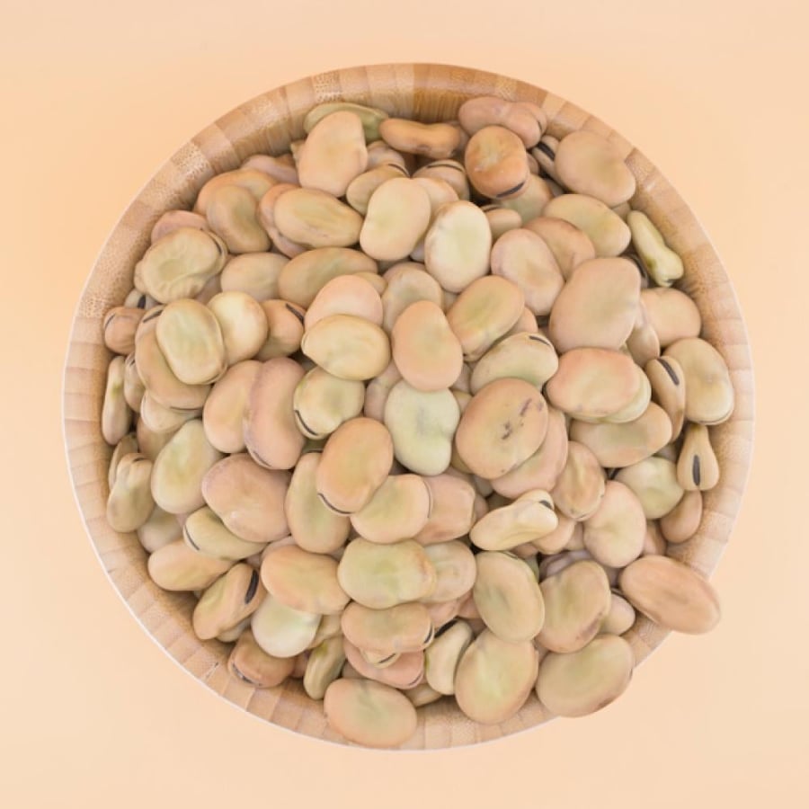 فول حبة كبير