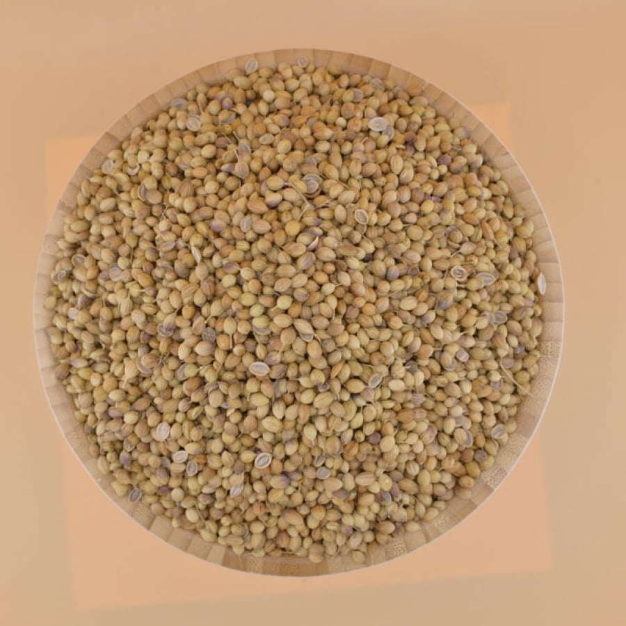 كزبرة حب