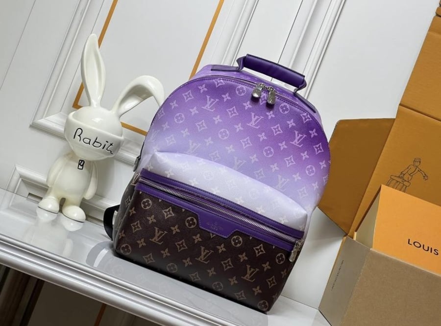 Louis Vuitton backbag