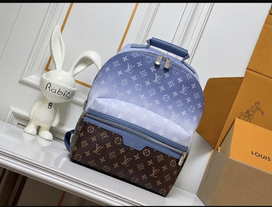 Louis Vuitton backbag