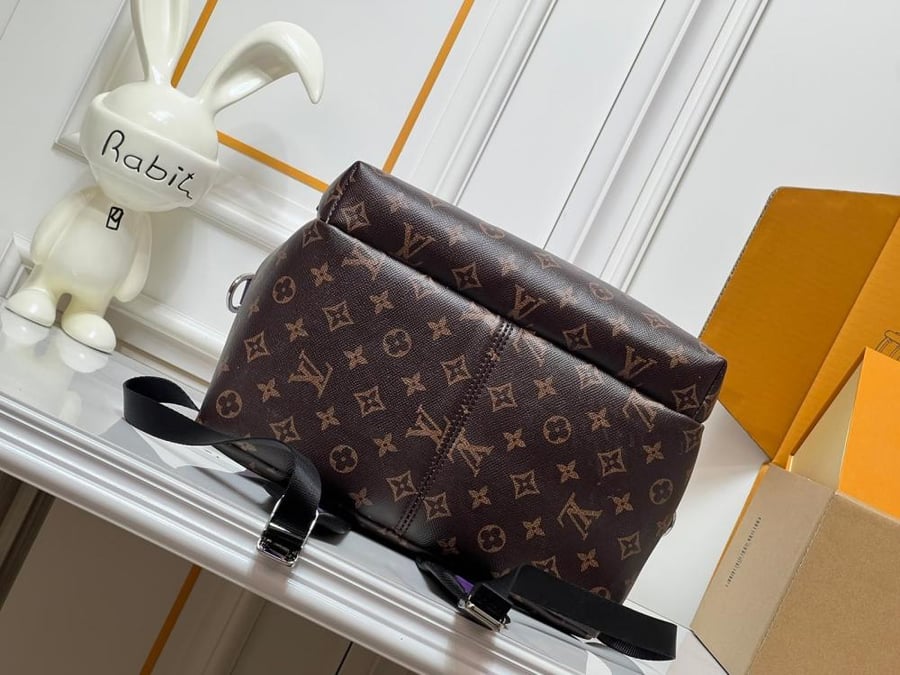 Louis Vuitton backbag