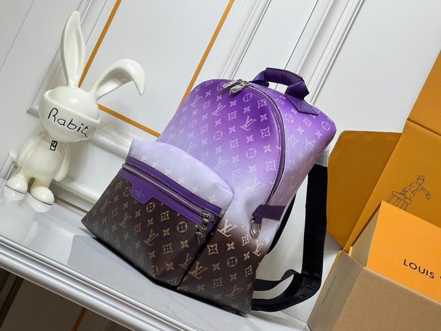 Louis Vuitton backbag
