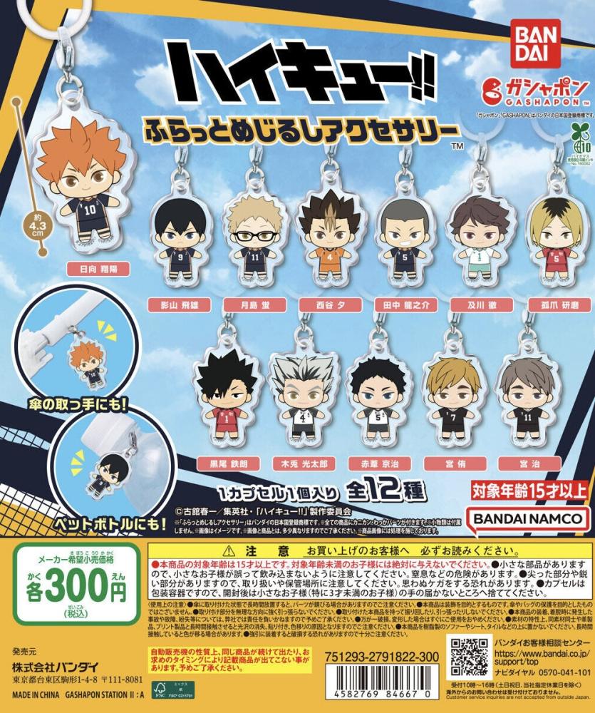 Haikyu!! Flat Sign Accessories