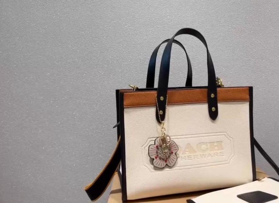 Gucci bag, imitation, Mr. Quality