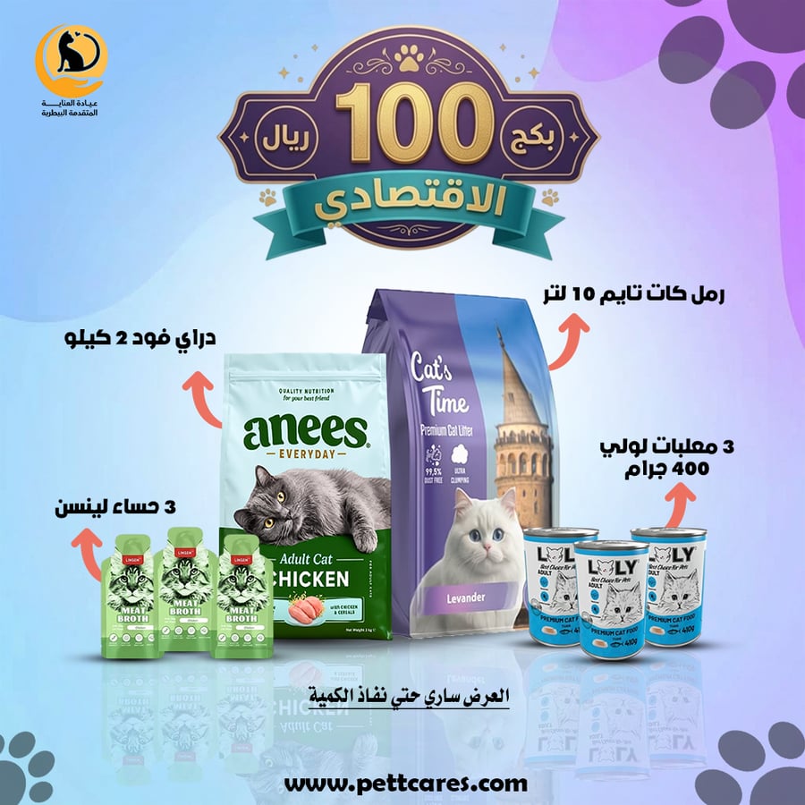 بكج 100 الاقتصادي