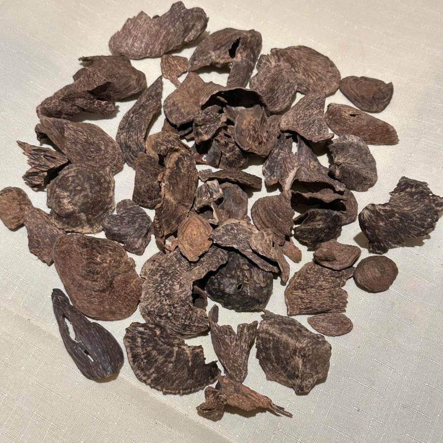 Luxury Cambodian oud