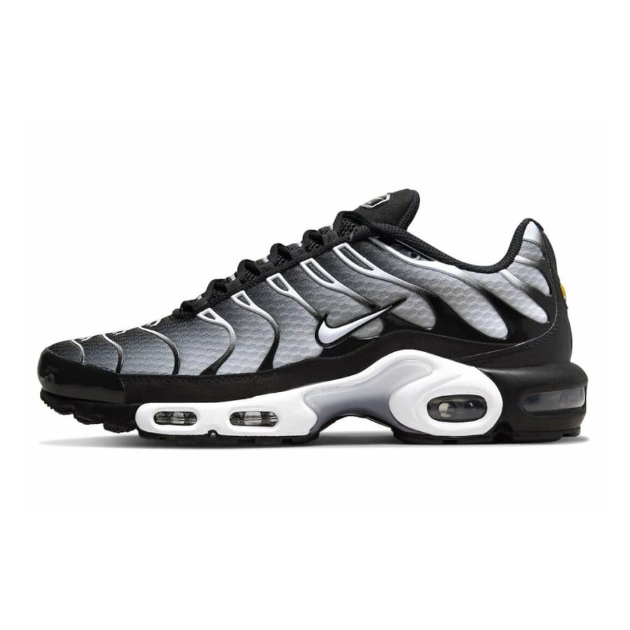 Nike air max plus tn black silver