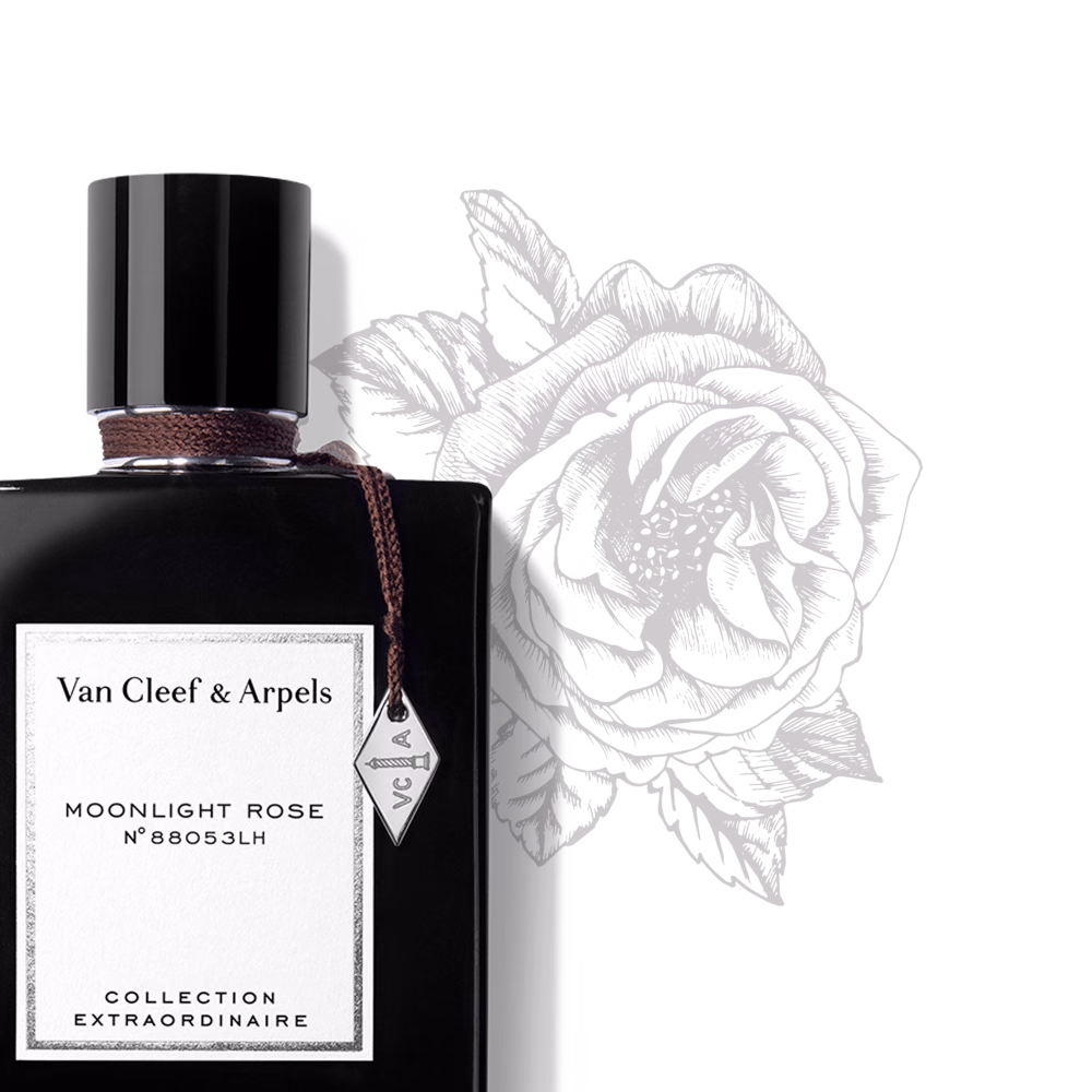عطر فان كليف أند آربلز مونلايت روز أو دو بارفيوم للجنسين 75 مل