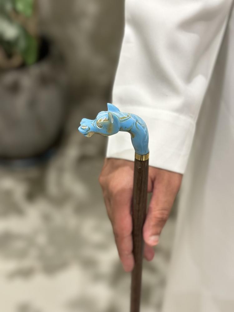 عصا الخيل فيروزي صغير ٢