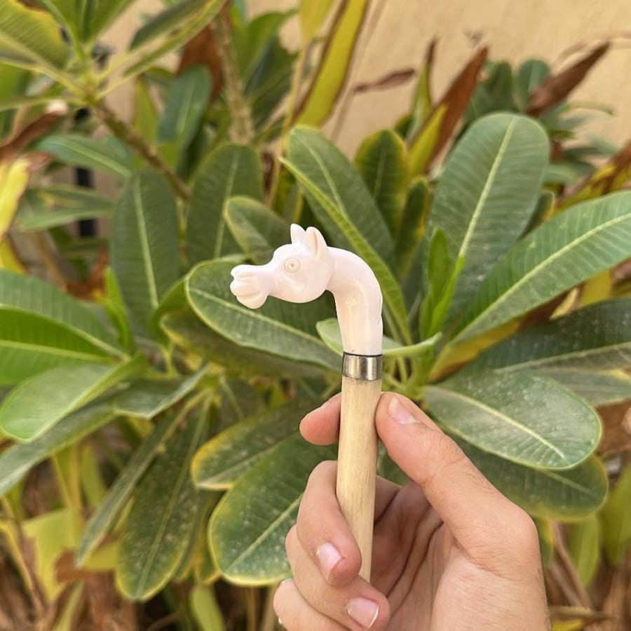 عصا الخيل ابيض عربي صغير