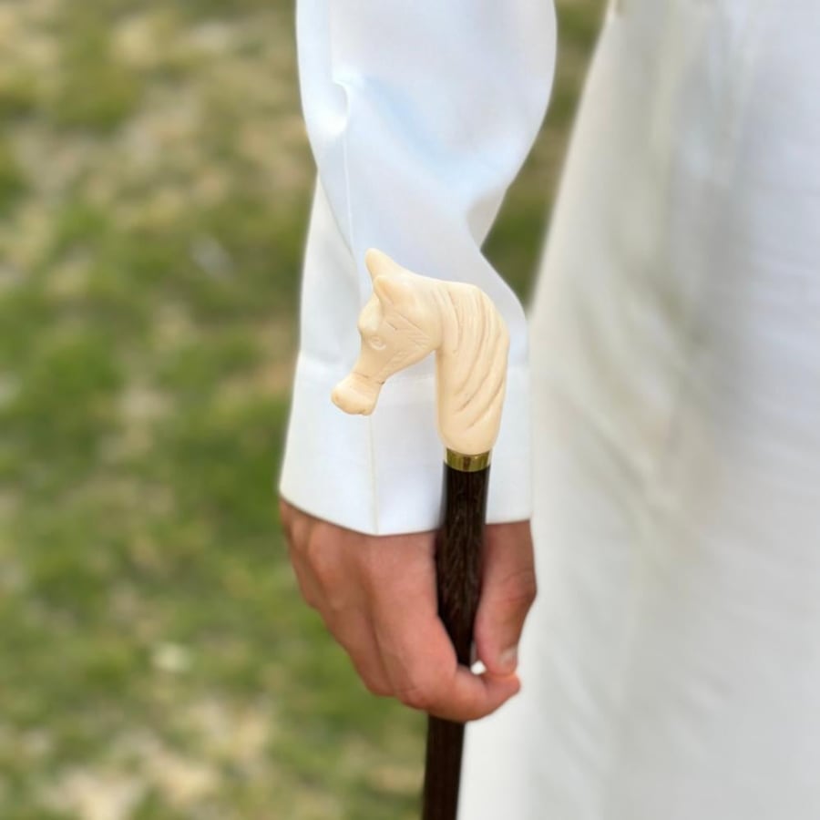 عصا راس حصان