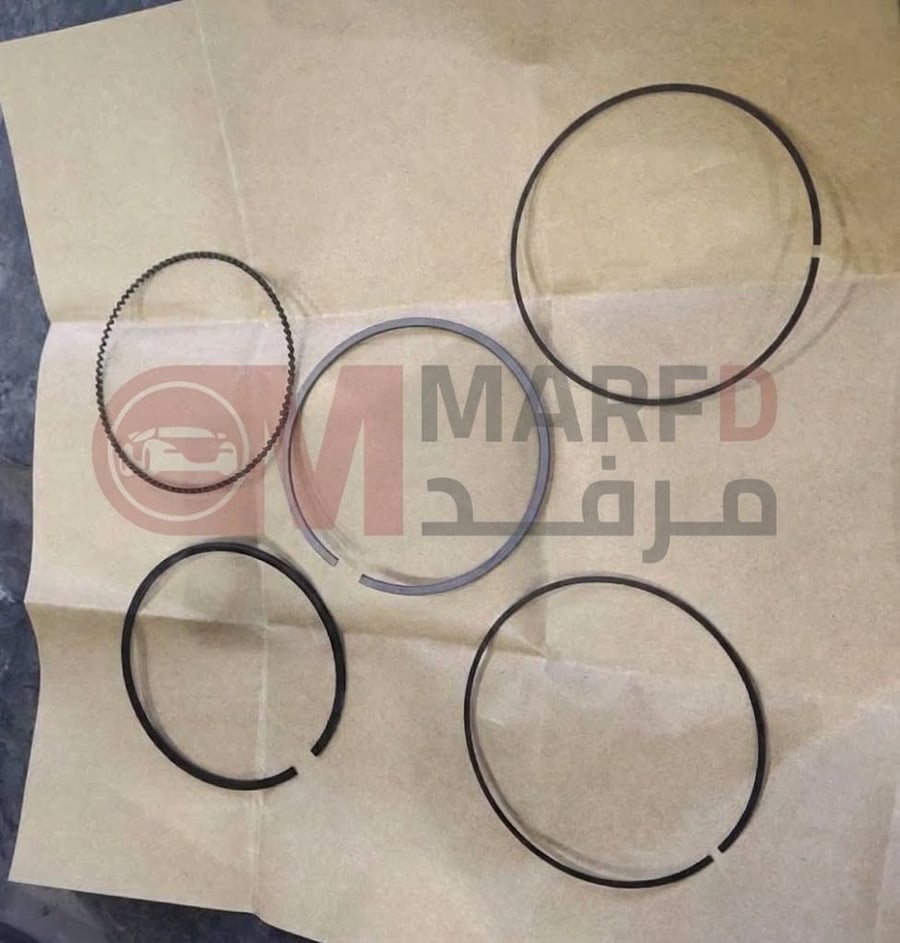 طفم شنابر جيلي توجيلا 2022