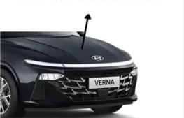 كبوت اكسنت ( 2024-2025 )
