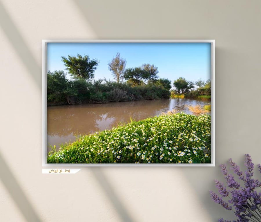 لوحة «شعيب الشوكي»