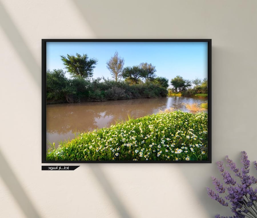 لوحة «شعيب الشوكي»