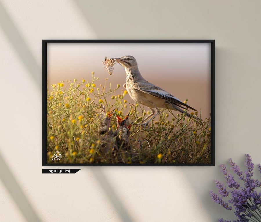 لوحة «صوت العش»