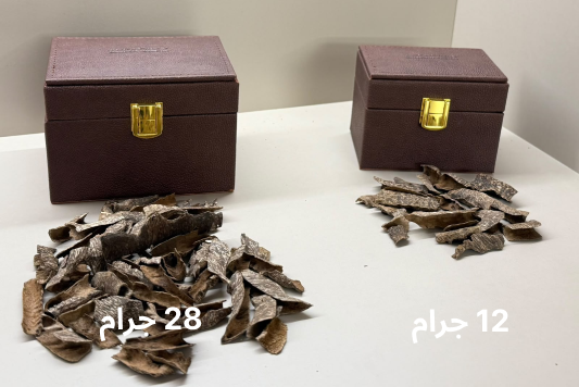 ترات خط كمبودي