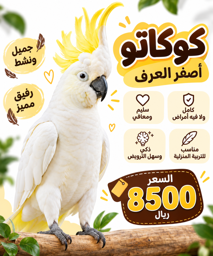 طائر كوكاتو