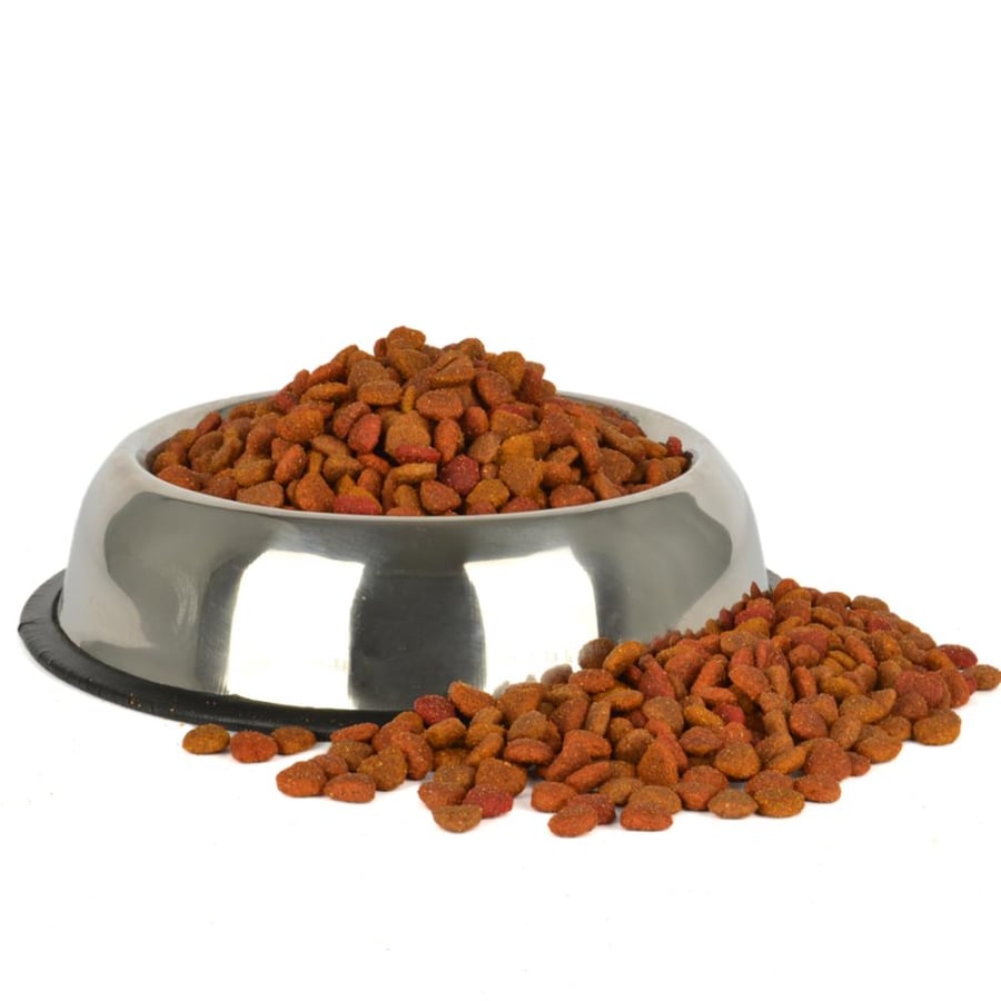 Jungle Dry Food for Spayed Cats with Salmon 500 grams