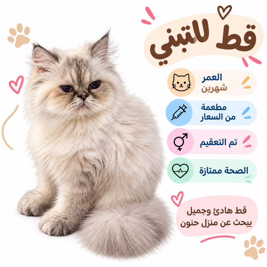 قط تبني