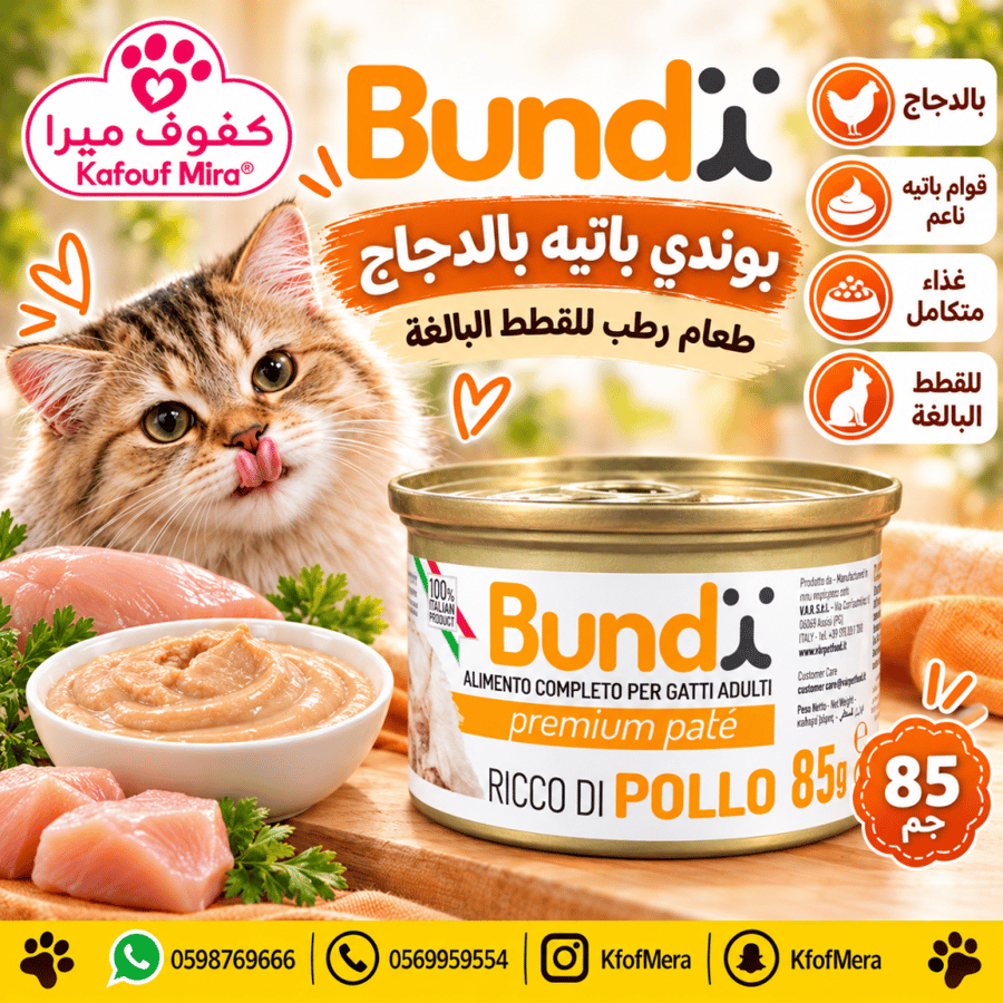 بوندي بريميوم باتيه طعام رطب للقطط البالغة غني بالدجاج – 85 جم