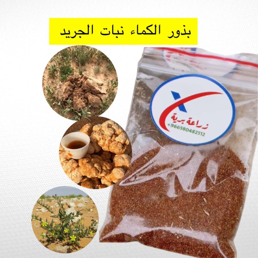 بذور نباتات