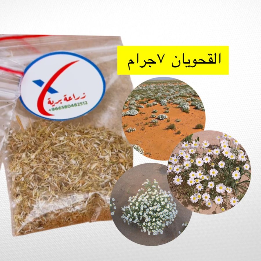 بذور نباتات