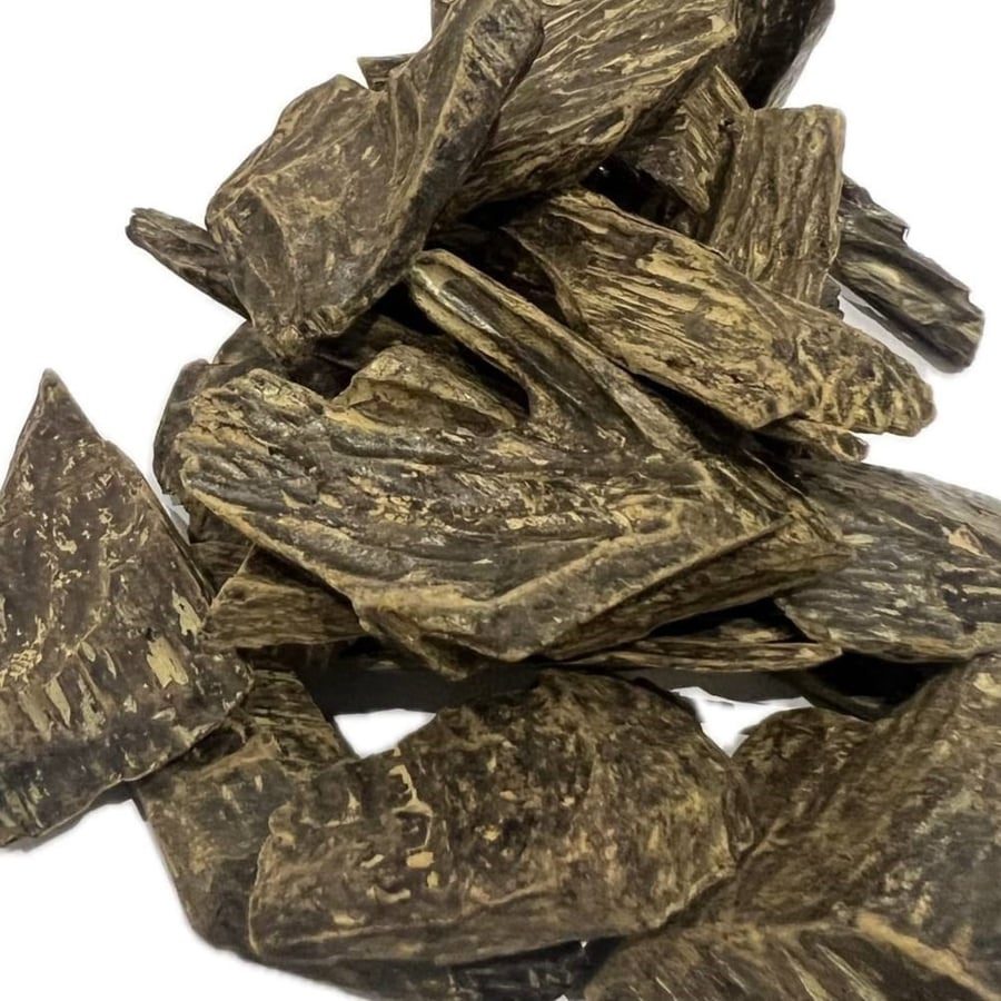 السلطان