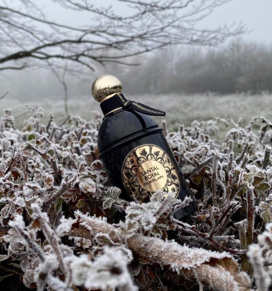 عطر ابسولو سانتال رويال من غيرلان للجنسين او دو بارفان 125 مل