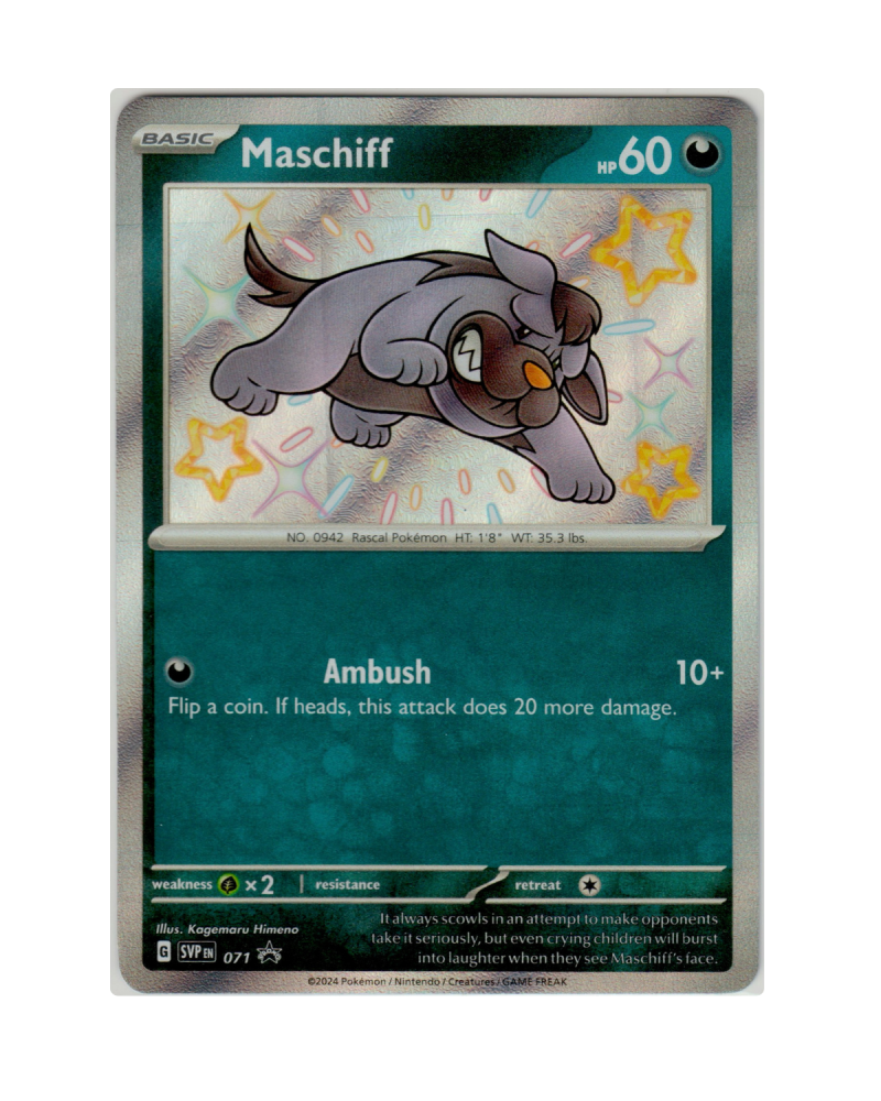 Maschiff 071 Promo Baby Shiny EN