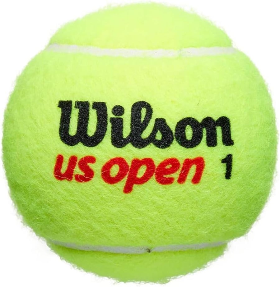 Wilson US Open Extra Duty tennis balls can of 3