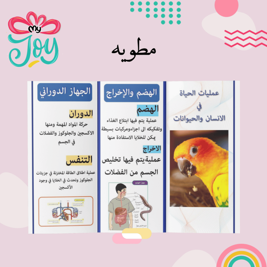 مطويه  عمليات الحياة في الإنسان و الحيوان