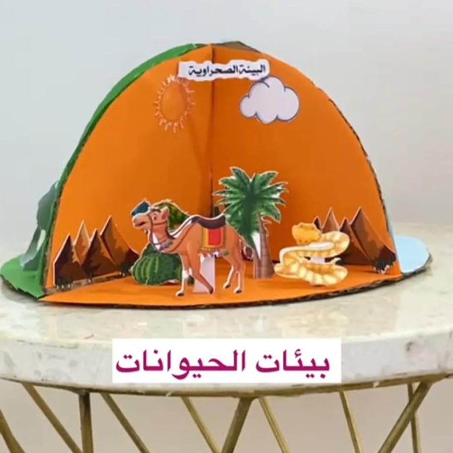 مجسم بيئات الحيوانات