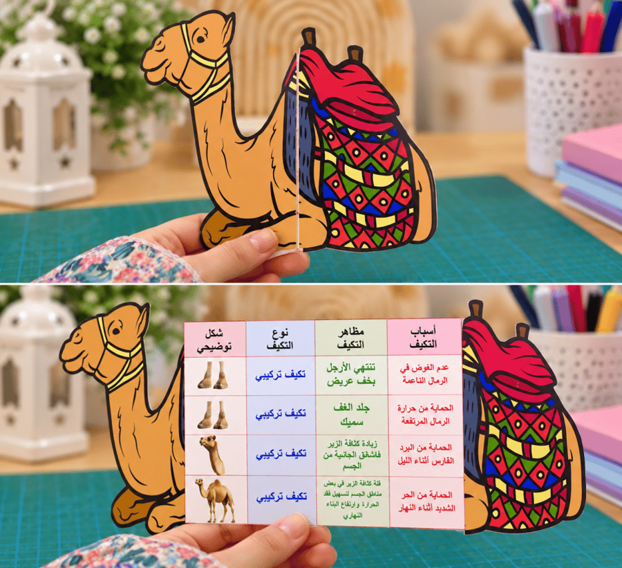 مطوية التكيف و البقاء