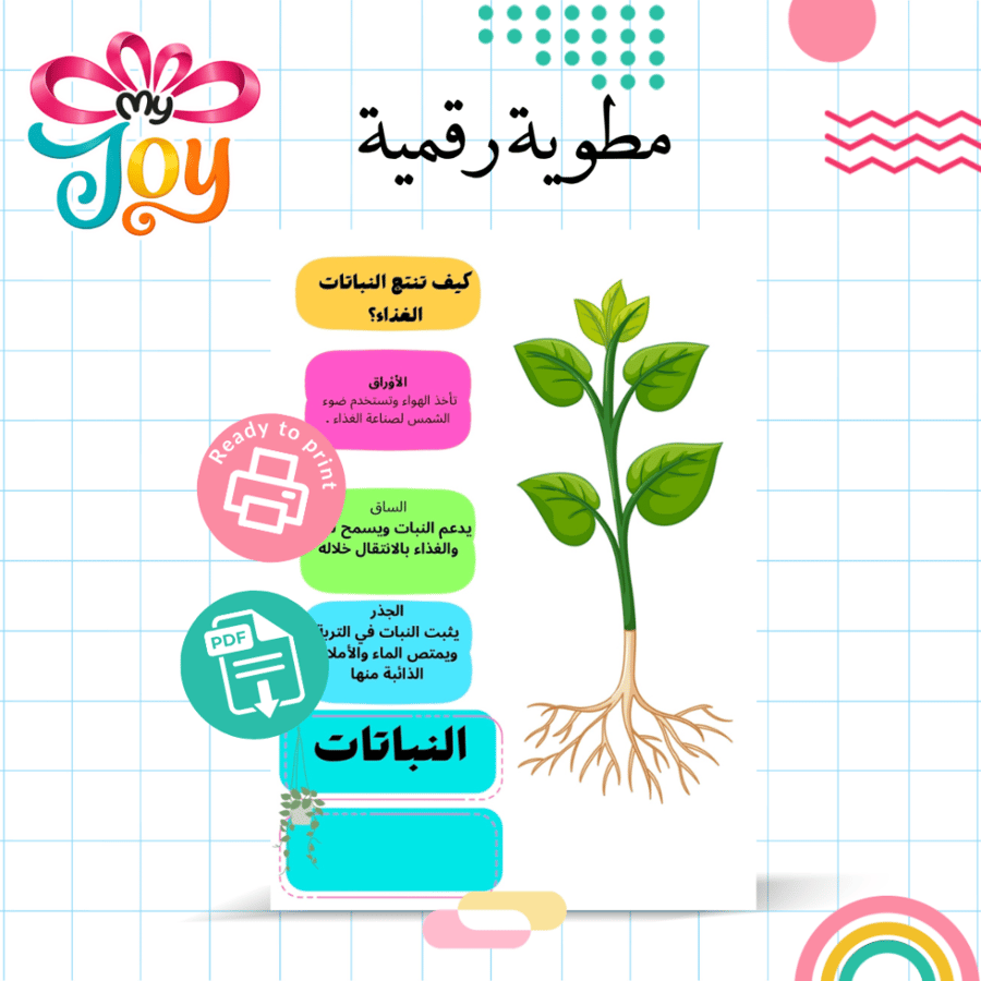 مطوية كيف ينتج النبات الغذاء PDF