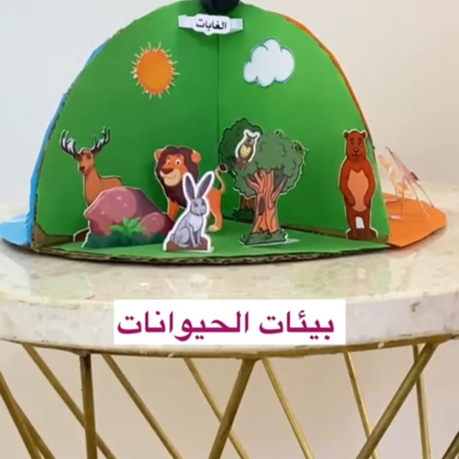 مجسم بيئات الحيوانات