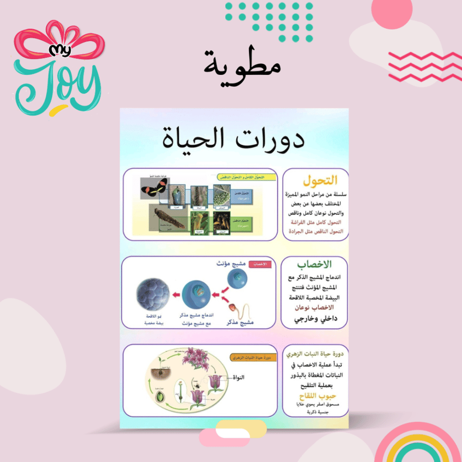 مطويه دورات الحياة